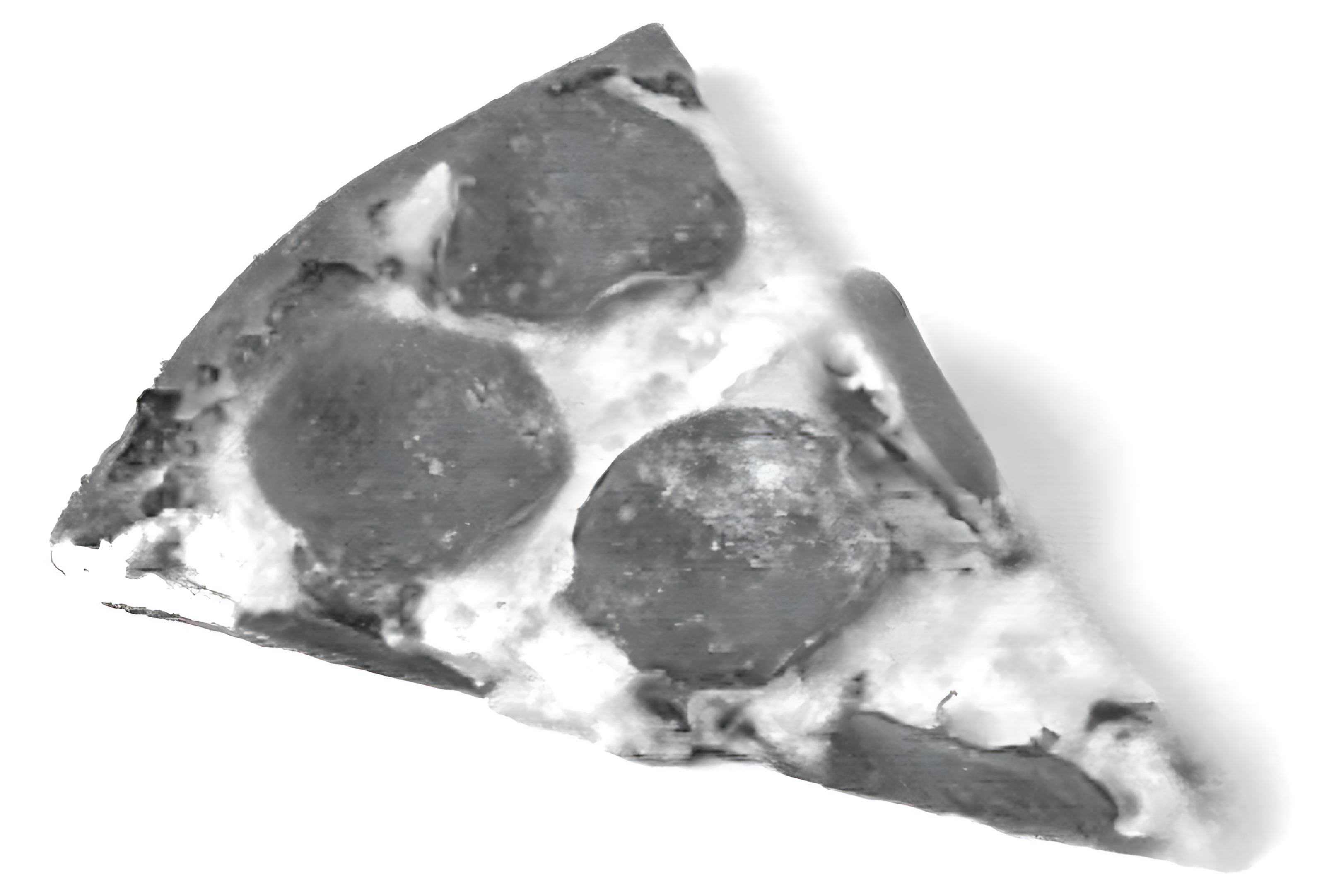 pizza slice photo