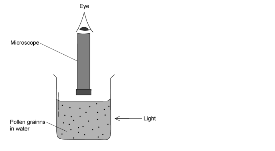 q4-hard-mcq-2-1-simple-kinetic-cie-igcse-physics