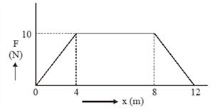 Shape, rectangle Description automatically generated